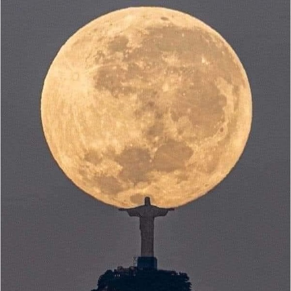 Meet your Posher, Sylvie - Picture 6 of 8